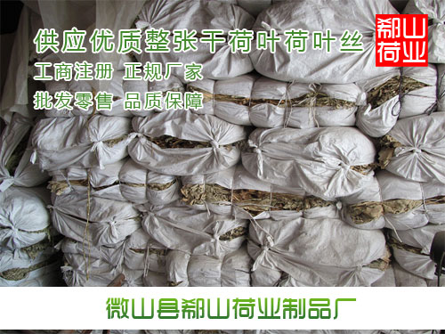 供应用于荷叶的花草茶批发 供应大叶精选荷叶茶