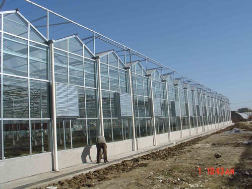 供应用于寿光最专业的温室大棚建设】寿光最优秀的日光温室建设