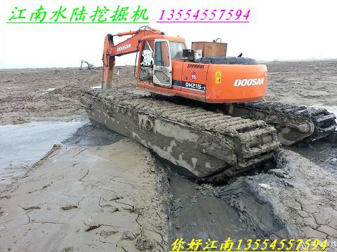 荆州市湿地挖掘机出租，水陆挖掘机出租厂家