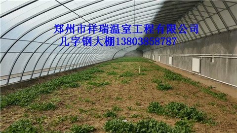 环保实用的日光蔬菜大棚简易阳光板温室大棚建造郑州祥瑞图片
