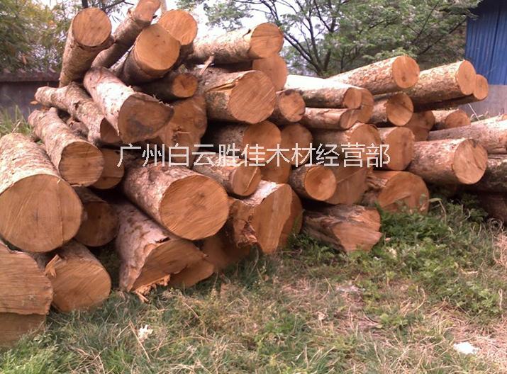 供应用于建筑木材|雕刻厂|木门厂的金丝楠木原木