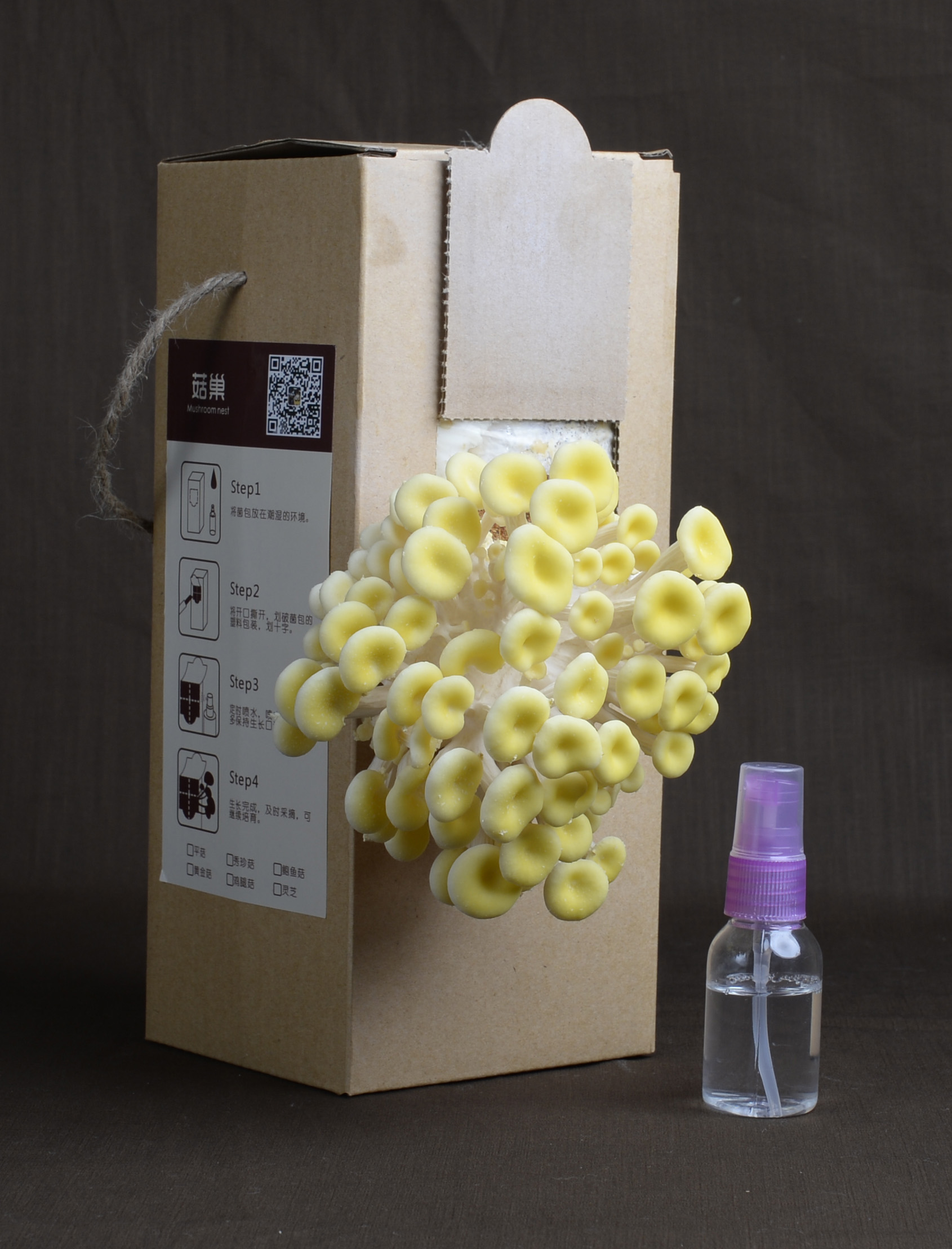 供应南昌神秘礼品黄金菇 食用菌菇 创意品生产 室内装饰品图片