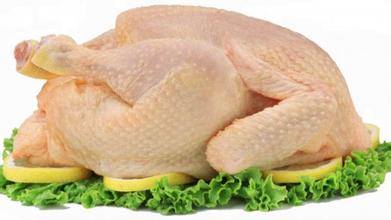 鸡、鸭、鹅供应用于餐的鸡、鸭、鹅