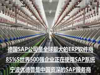 供应纺织行业ERP系统 纺织行业ERP方案 宁波优德普SAP代理商