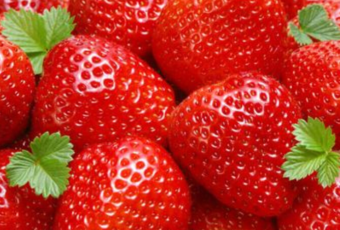 供应用于的达赛莱克特草莓小苗，价格品种批发