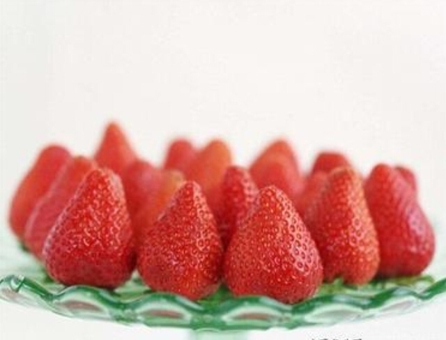 天香草莓小苗，价格批发品种批发