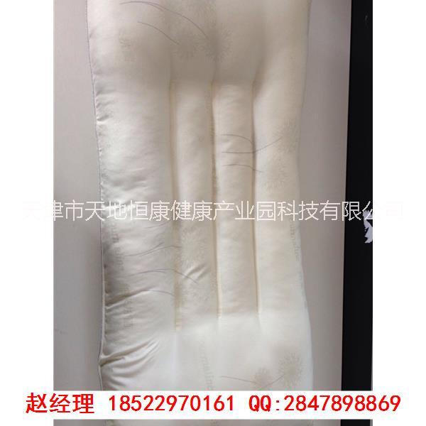 天津市磁石枕电气石磁疗枕托玛琳磁疗枕厂家