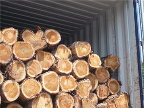 芬兰松木进口报关代理松木原木进口批发