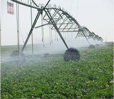 专业提供农业灌溉微喷带丨鲜花大棚批发