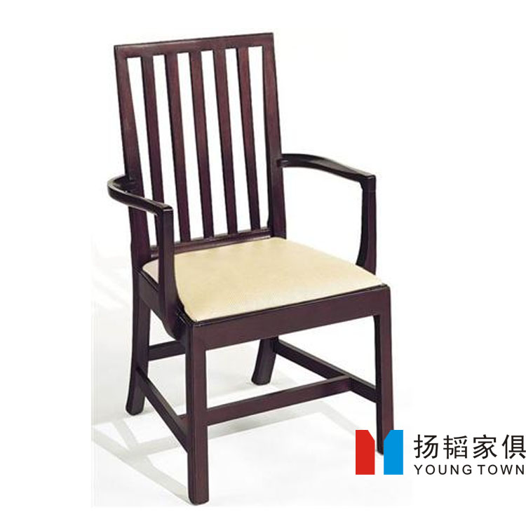 供应用于的扬韬欧洲简约现代餐椅经典标准椅