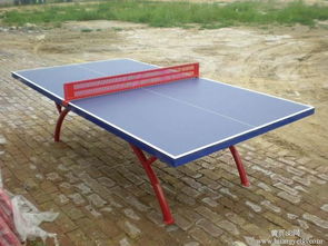 供应用于体育用品的供应山东纳川乒乓球台