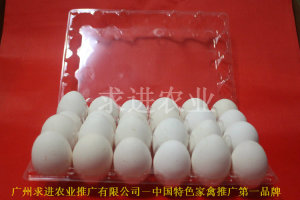 鸡蛋塑料托价格   鸡蛋塑料托批发