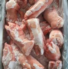 冷冻食品市场长期供应德国202猪脚 猪排价格