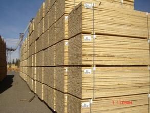 供应厂家直销优质木方建筑木方优质杉木