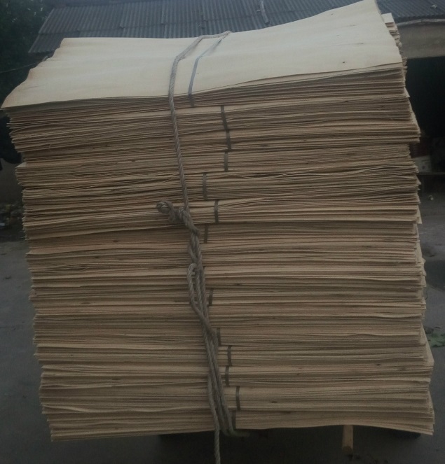 广州木皮桉木单板批发