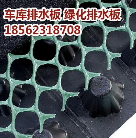 供应用于的天津20高屋顶塑料排水板