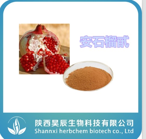 供应用于医药的陕西昊辰直供低价优质安石榴甙安石