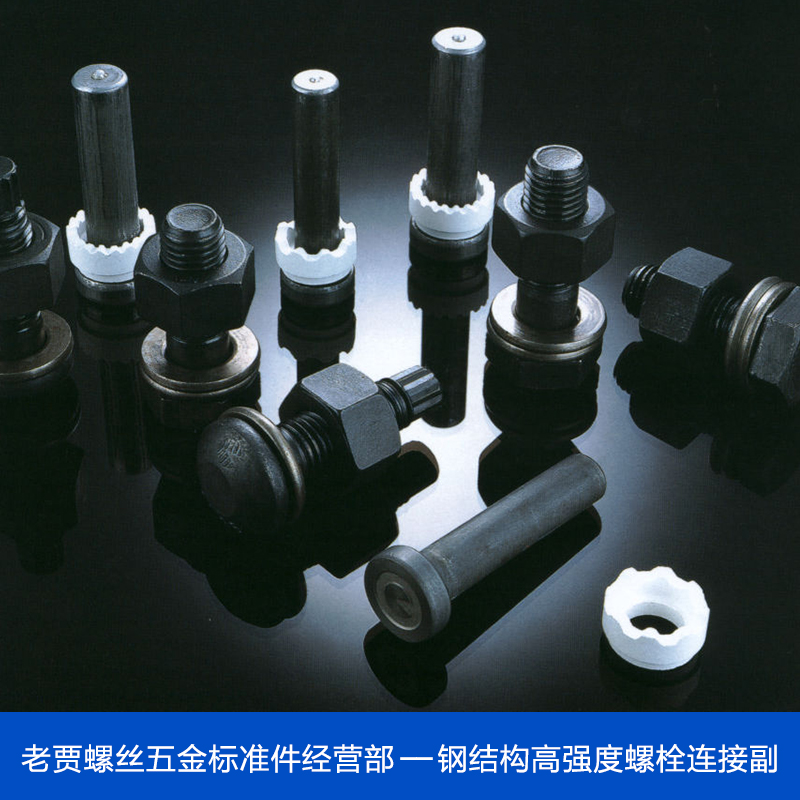 高强度螺栓供应高强度螺栓  扭剪型高强度螺栓 高强度螺