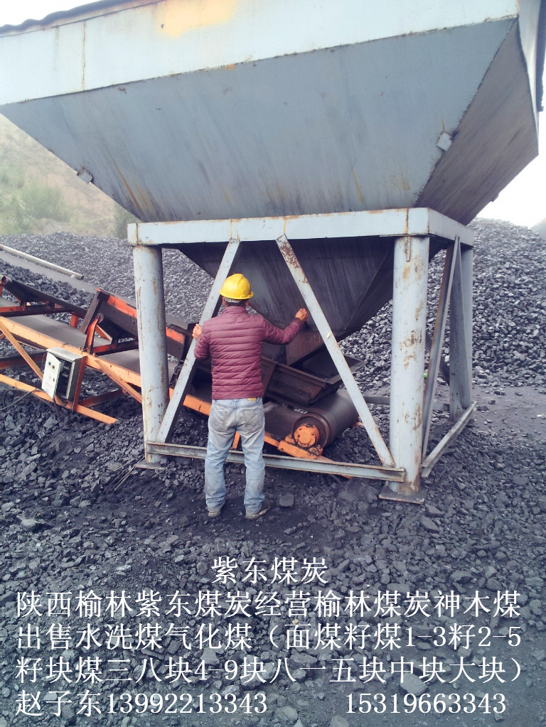 榆林市陕西煤炭榆林煤炭价格神木煤炭厂家