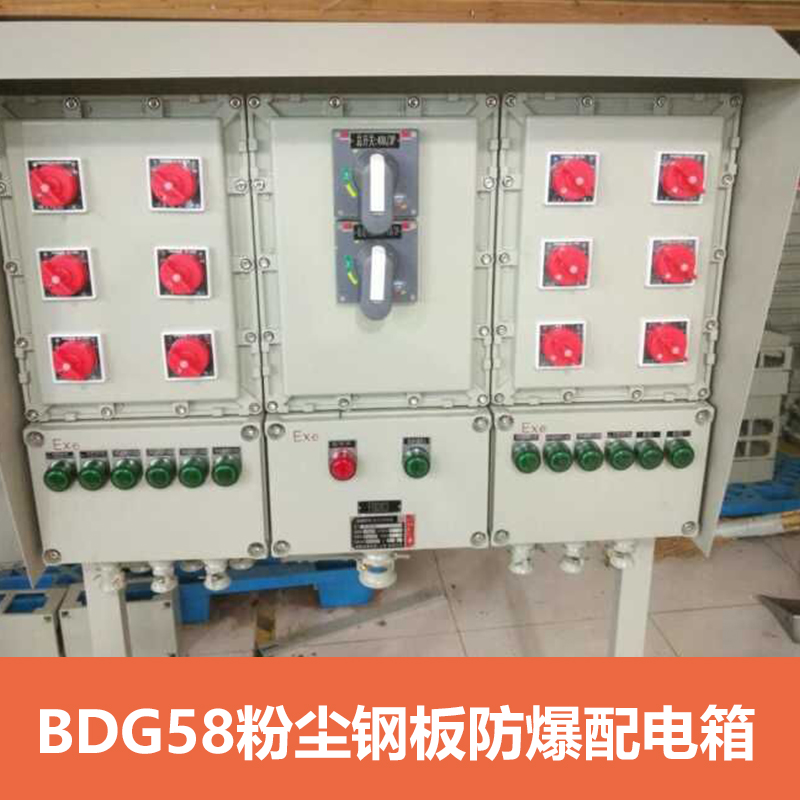 供应BDG58系列防爆配电箱 防爆照明配电箱 上海防爆控制箱厂家直销