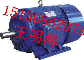 供应衡水永动YX3-90S-6-0.75KW高效节能三相异步电动机图片