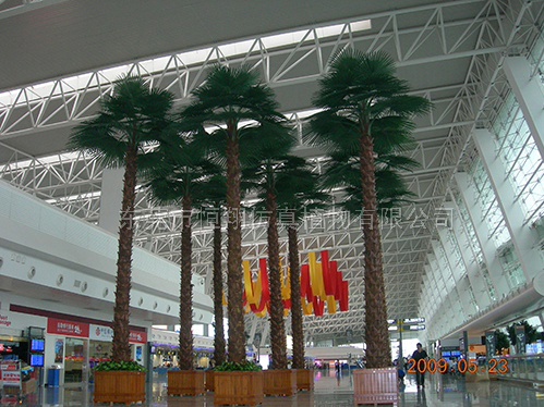 供应用于景观装饰设计的仿真棕榈树保鲜棕榈树定制价格图片