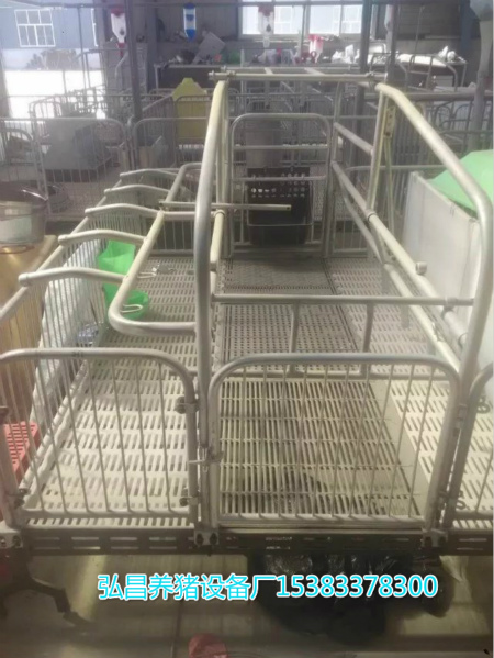 供应批发养猪设备母猪产床母猪定位栏尺寸自动喂猪料线安装图片