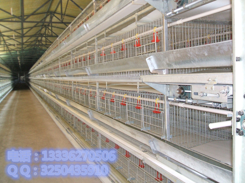 德州市鸡笼子厂家厂家供应鸡笼子厂家，鸡笼设备，鸡笼子价格， 新式样鸡