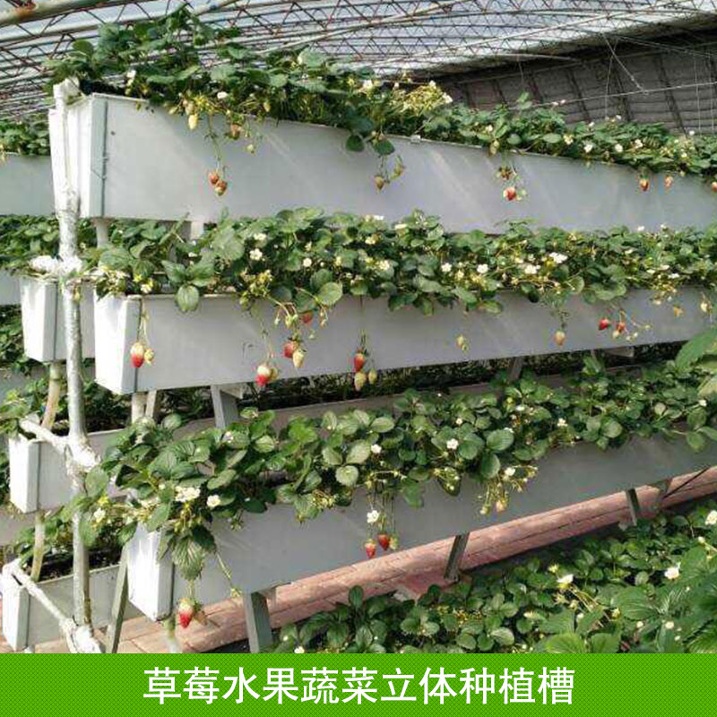 专业供应 草莓水果蔬菜立体种植槽 无土栽培