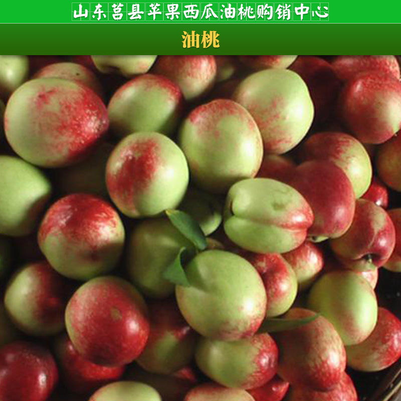供应用于箱子的广东油桃批发 广东油桃多少钱 广东油桃报价多少图片