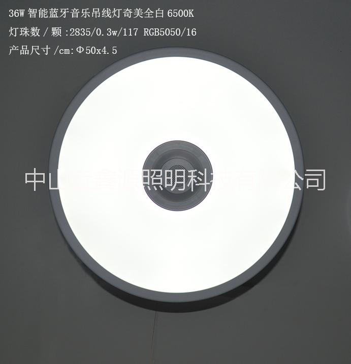 供应LED智能蓝牙音乐吊线灯奇美全白