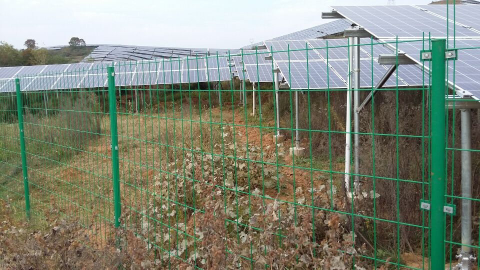 供应新洲绿化种植直片双边丝钢丝网围栏图片