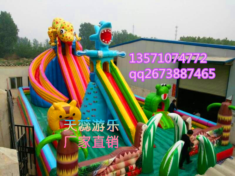 河南郑州天蕊游乐儿童游乐设备充气大城堡充气滑梯小飞鱼沙滩池2016新款图片