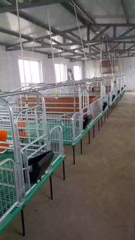 沧州市河北母猪产床价格 球磨漏粪板厂家