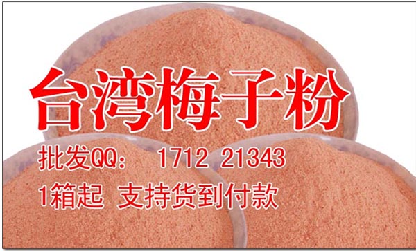 供应用于炸鸡外撒料的地道台湾风味 甘梅粉 梅子粉撒料
