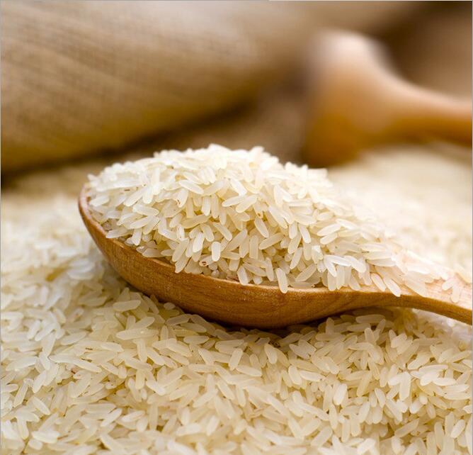 厂家批发 东北特产种植合作社直供鸭稻米原有机大米优质生态新米图片