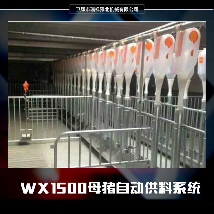 河南WX1500母猪自动供料系统批发