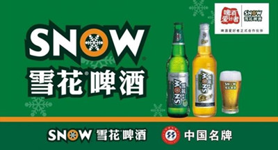 上海市青岛啤酒批发厂家供应青岛啤酒批发