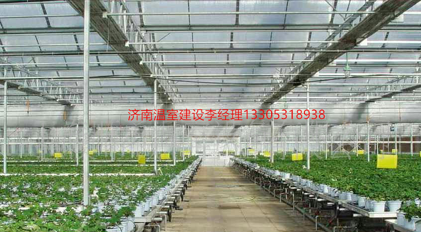 济南市温室大棚中土壤温湿度传感器的应用厂家
