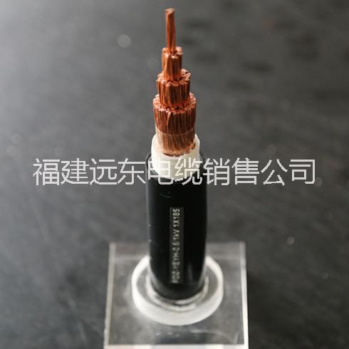 福建远东专卖远东牌FDWZ-GEXE供应铜芯风力发电用动力电缆图片