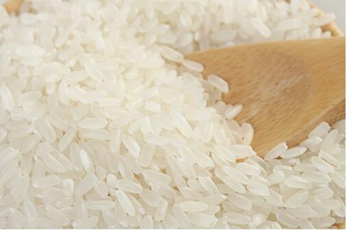 供应2016新米大米 批发大米