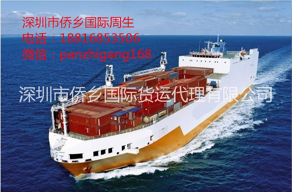 中国到巴西专线海运双清货到付款批发
