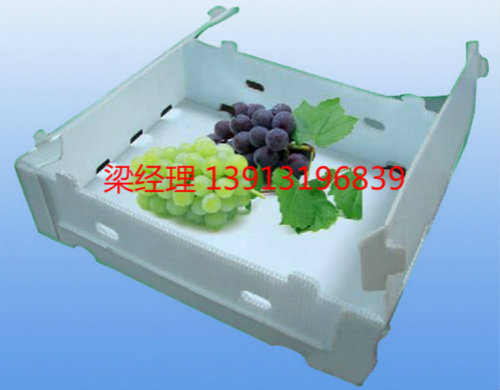 供应用于包装盒的苏州PP中空板水果包装盒
