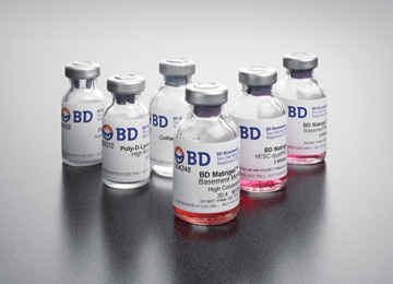 供应Matrigel基质胶 低生长因 BD 356230 5ml 量大优惠 质量保证