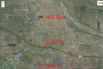 忻州市肉牛厂家