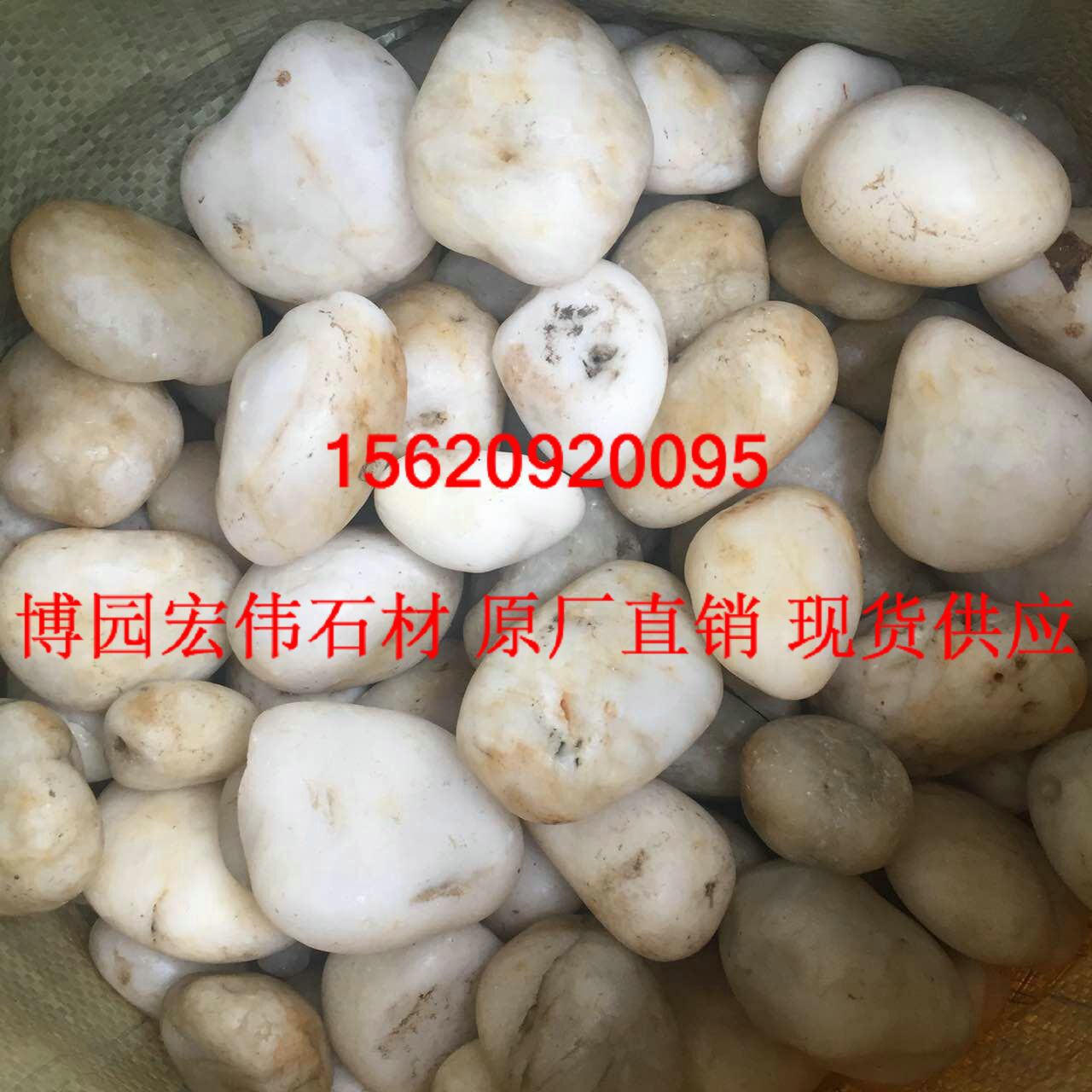 天津市天津白色鹅卵石价格厂家