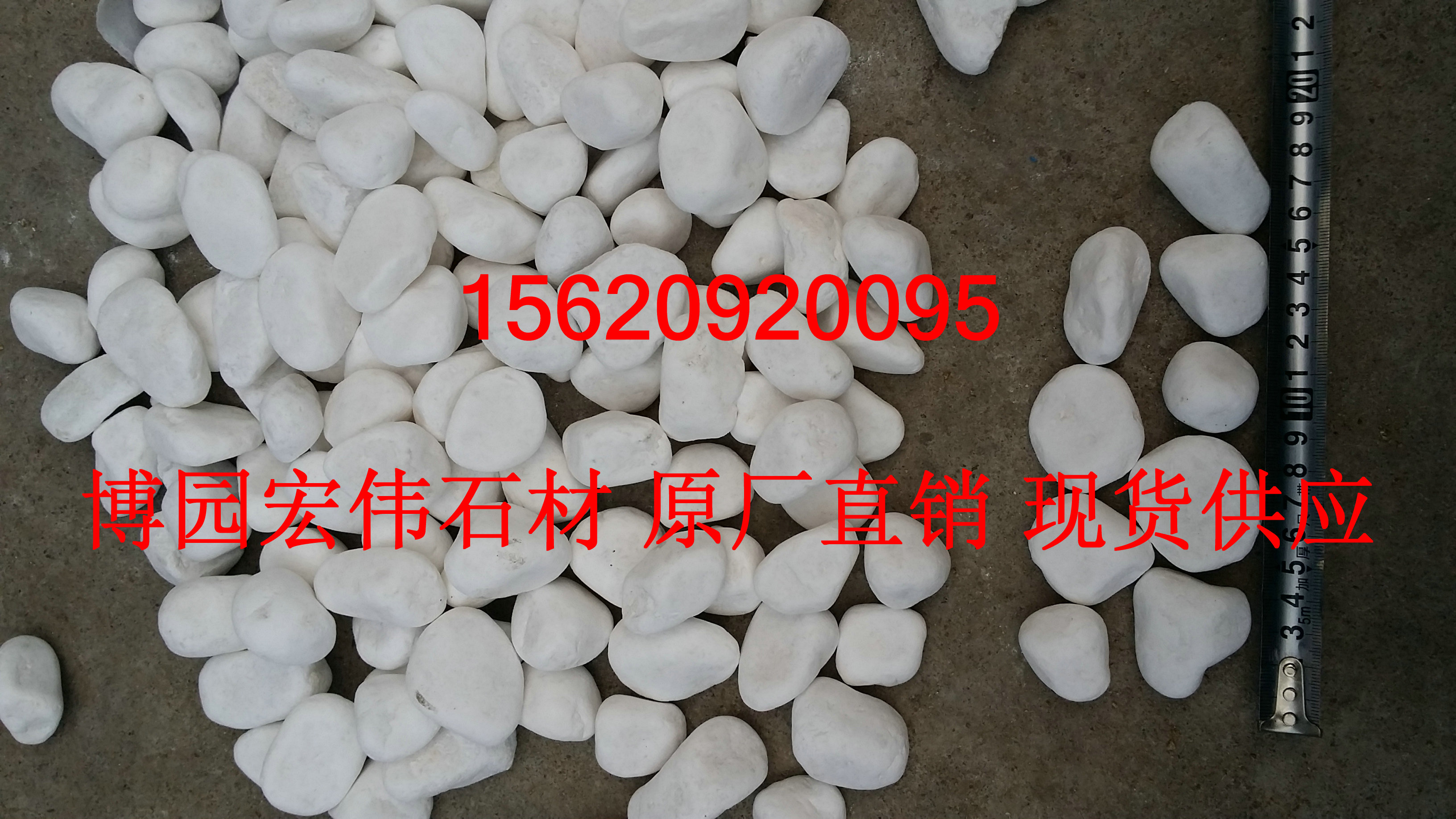 天津市天津白色鹅卵石价格厂家天津白色鹅卵石价格