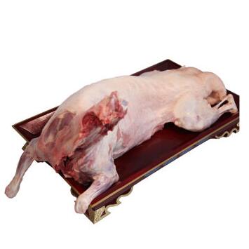 苏尔雅特羔全羊 苏尔雅特羔羊肉价格 西蒙（锡盟）羊肉批发商 产厂家图片