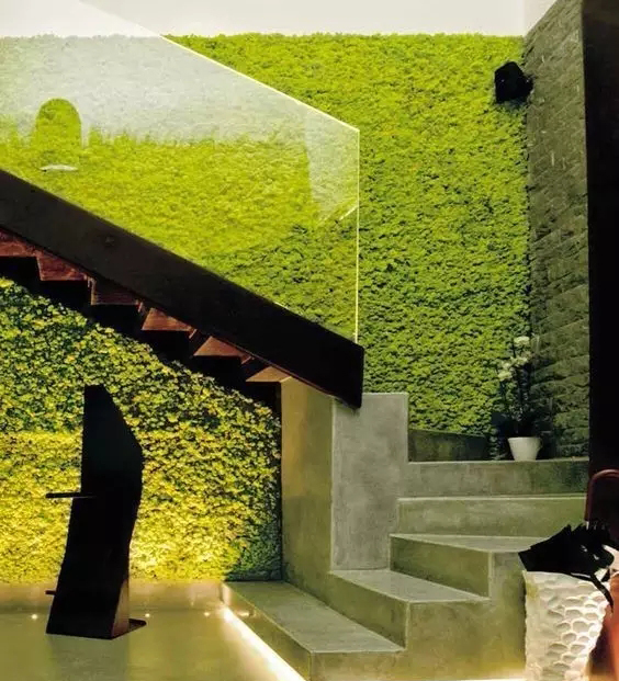 专业植物墙绿魂谷植物墙 植物墙 吸收甲醛专业植物墙绿魂谷植物墙