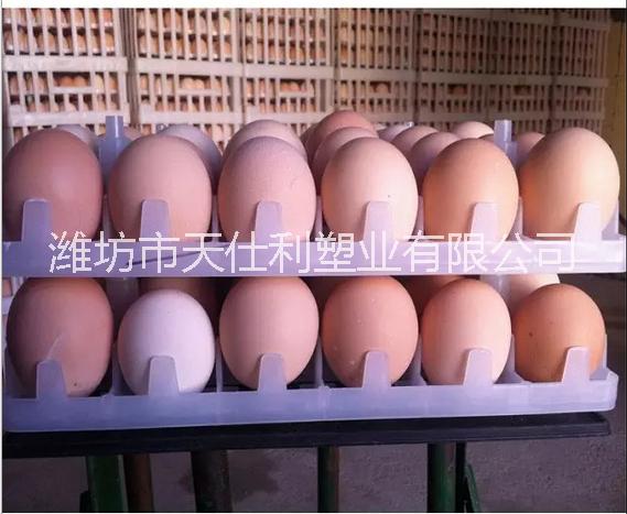 种蛋筐 种蛋周转筐 运输筐种蛋筐 种蛋周转筐 运输筐厂家生产